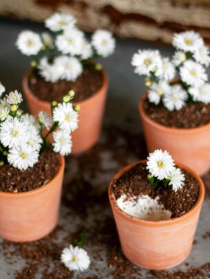 Wiosenny deser z serkiem Phily